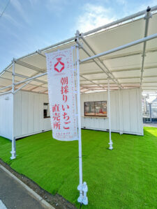 奈良県田原本町のいちご直売所いちごカゾク。ロゴ入り「朝採りいちご」の旗を設置し、初めての方にも分かりやすくなりました。