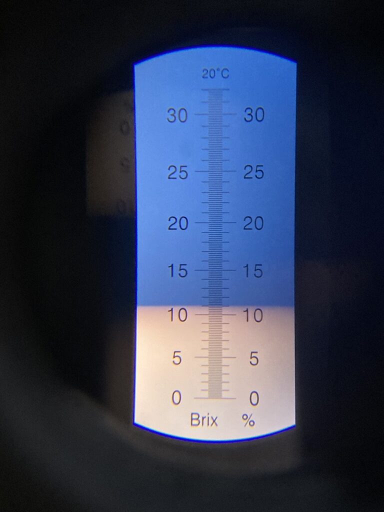 奈良県田原本町のいちご直売所いちごカゾク。糖度計で測定した奈良県産ブランドいちご古都華は平均糖度11度。甘さに自信を持って直売しています。