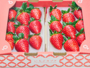 奈良県田原本町のいちご直売所いちごカゾクの大粒古都華のユリカーゴ