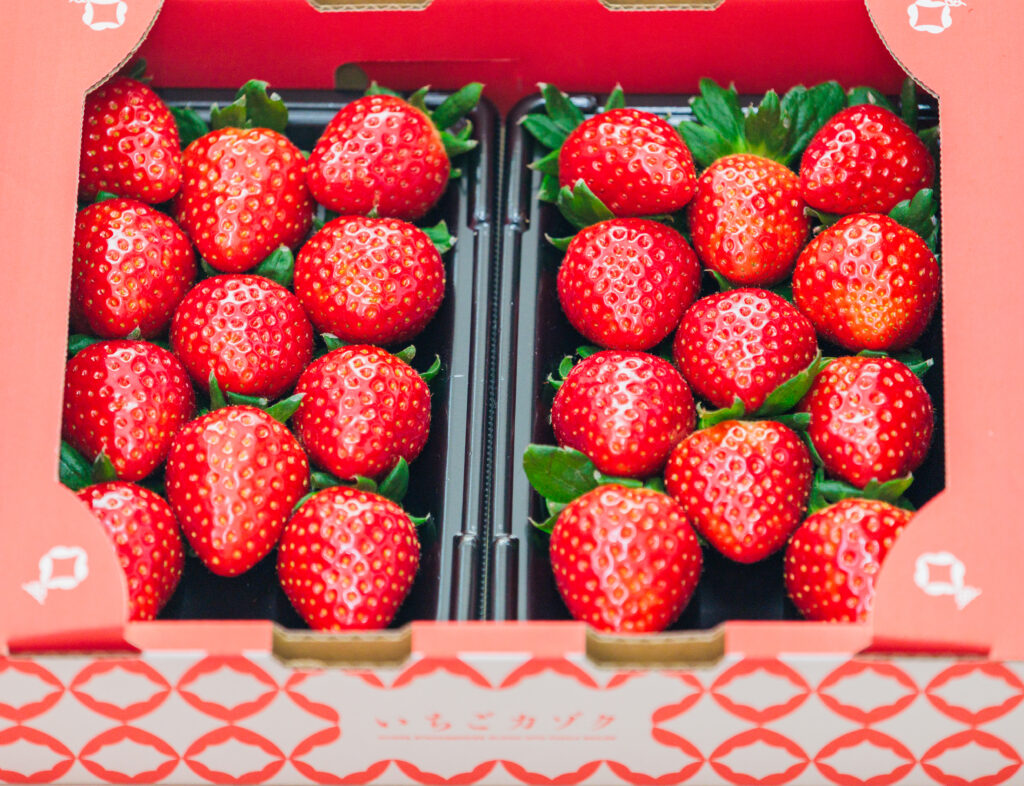 奈良県田原本町のいちご直売所いちごカゾクで販売する中パックの古都華