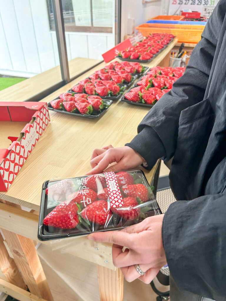 朝採り古都華を丁寧にパック詰め｜奈良県田原本町 いちご直売所