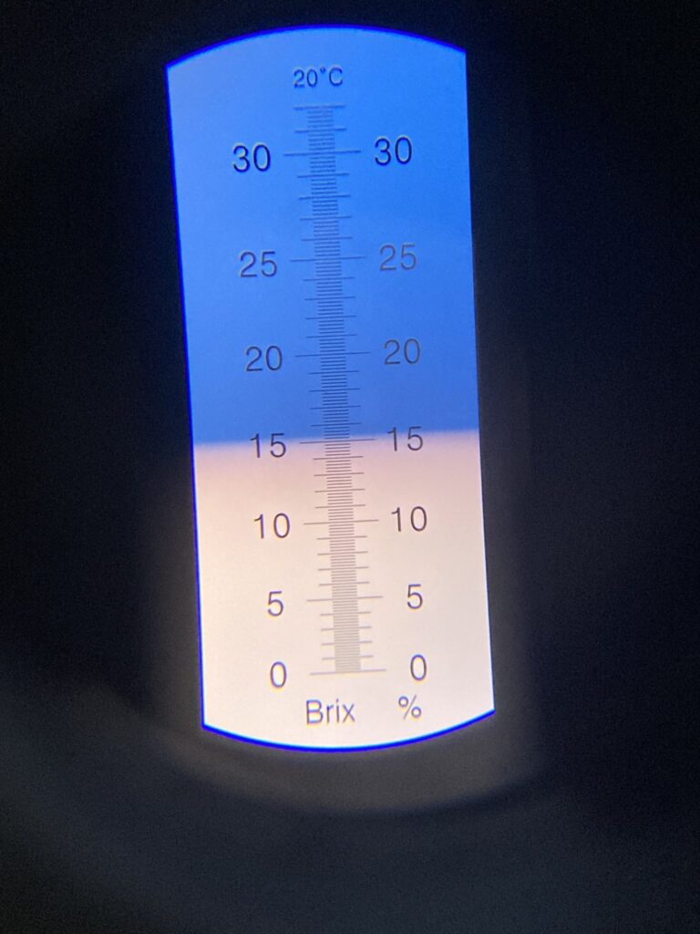 古都華の糖度を測定しました｜奈良県田原本町 いちご直売所