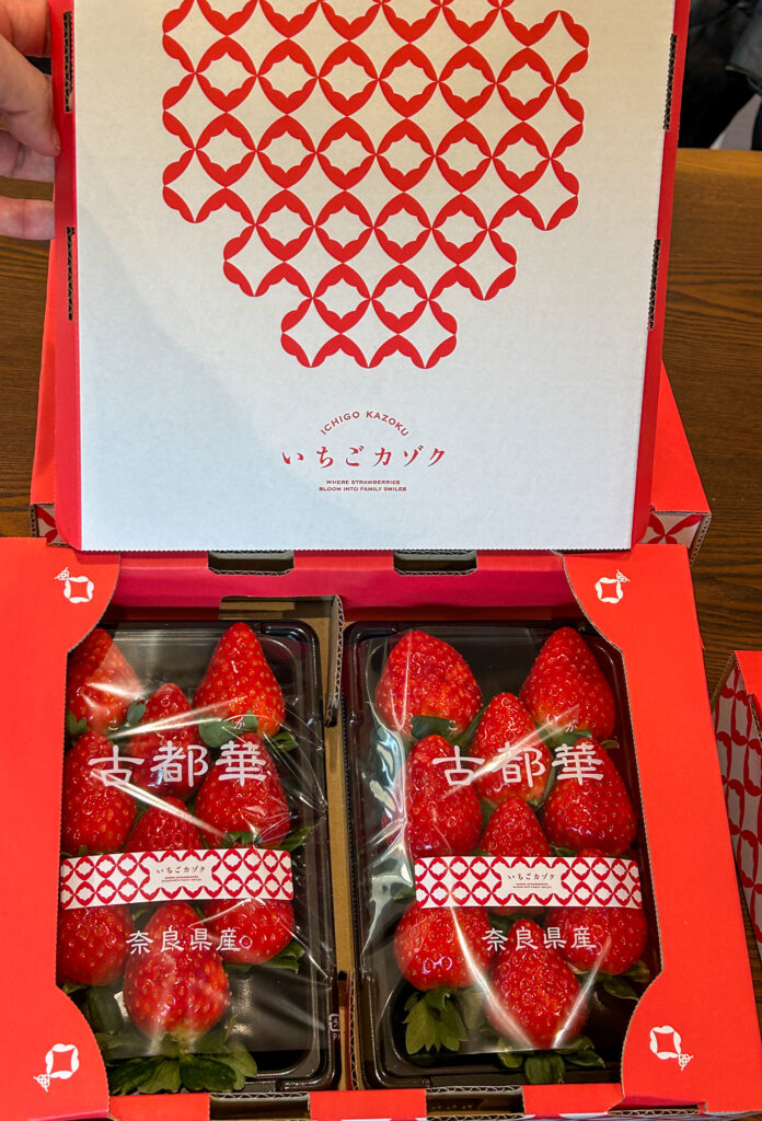 奈良県田原本町 いちご直売所 いちごカゾク 古都華の初収穫
