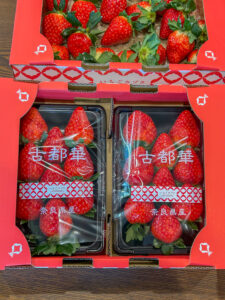 奈良県田原本町 いちご直売所 いちごカゾク 古都華の初収穫しパック詰めをしました。