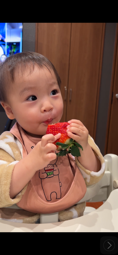 先日子どもが大きないちごを手に取り、一心不乱に食べました。 少し大きすぎるかなと思いながら見ていましたが気づけば最後まで一気に完食。
