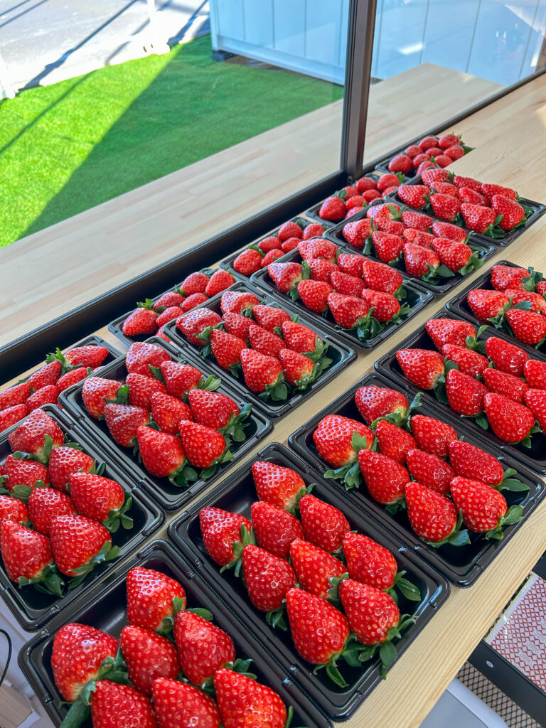 奈良県田原本町 いちご直売所 いちごカゾク 古都華 パック販売