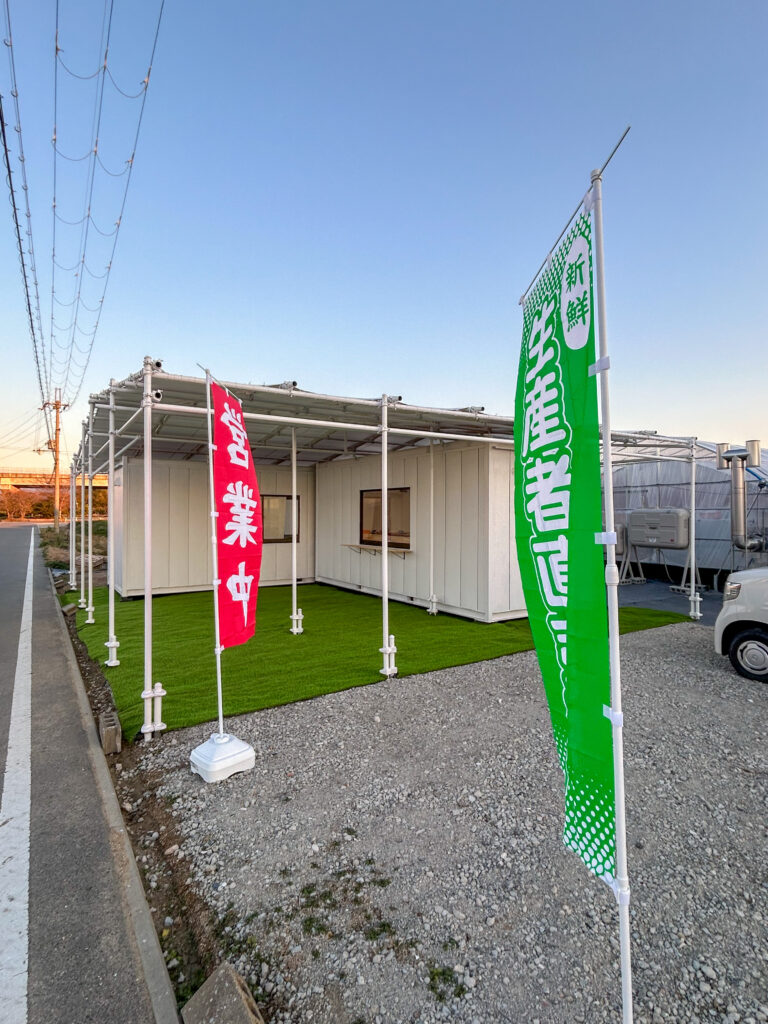 奈良県田原本町 いちご直売所前に営業中、生産者直売所ののぼりを設置。朝採り古都華を販売中