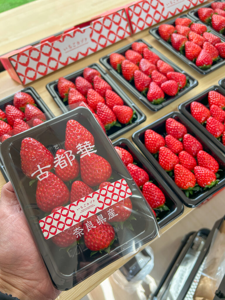 小粒いちごパックのご紹介｜気軽に楽しめる朝採り古都華