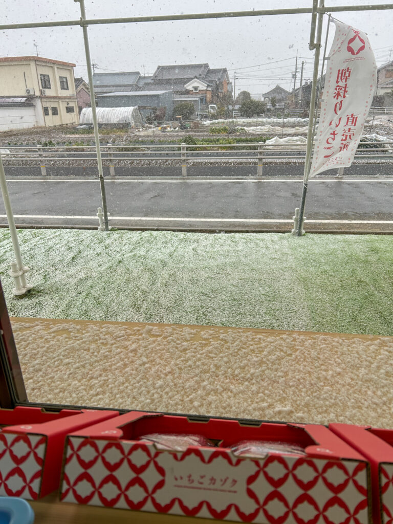 雪の中ご来園ありがとうございました｜奈良県田原本町 いちごカゾク直売所