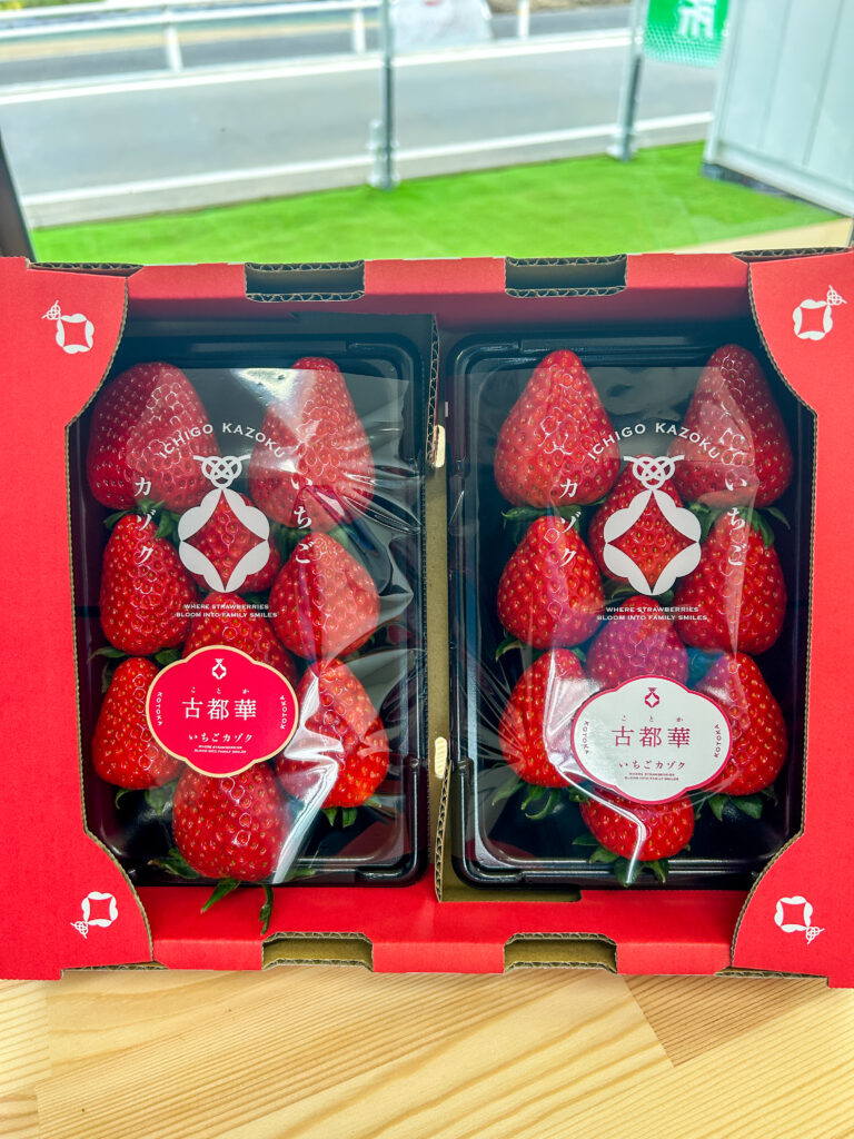 いちごカゾク オリジナルフィルム完成｜奈良県田原本町 朝採り古都華直売