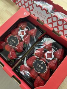 奈良 いちご直売所 GW最終日営業のお知らせ 古都華販売中｜田原本町いちごカゾク